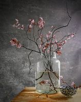 Blossom still life