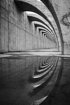 Curved forms in concrete by Pierre Verhoeven