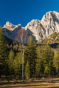 Clear air by Denis Feiner