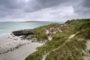 Verlaten strand in de Hebriden, Schotland van Nick Van Goubergen