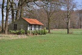 Springendal Tubbergen van Hans Oudshoorn