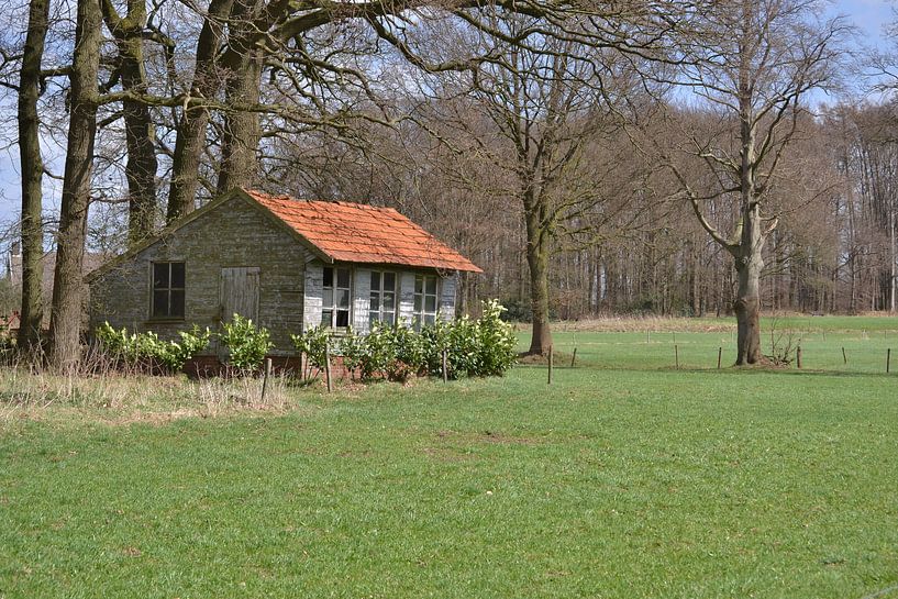 Springendal Tubbergen von Hans Oudshoorn