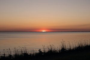 Ondergaande zon met riet van Foto Studio Labie