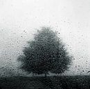 the beautiful sound of rain by Dorit Fuhg thumbnail