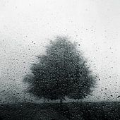 Melancholische Elegantie