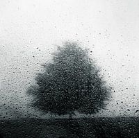 het prachtige geluid van regen