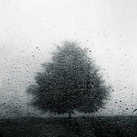 het prachtige geluid van regen van Dorit Fuhg