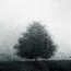 Melancholic Elegance