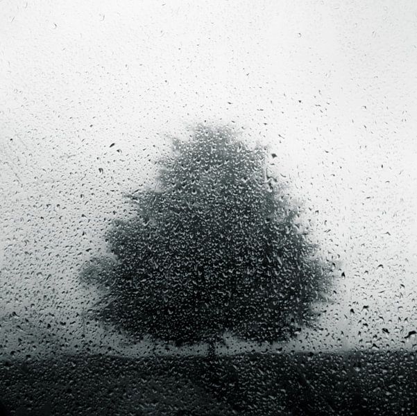 the beautiful sound of rain by Dorit Fuhg