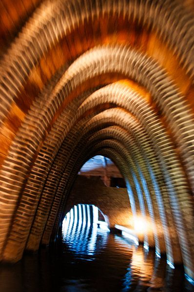 A special boating trip below Den Bosch by Natuurpracht   Kees Doornenbal