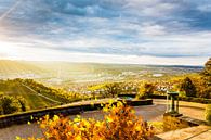 Uitzicht op Stuttgart vanuit de grafkapel op de Württemberg van Jürgen Neugebauer | createyour.photo thumbnail