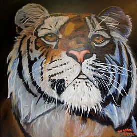 Tijger, tiger,  tiger, tigre, schilderij, by sandra de jong