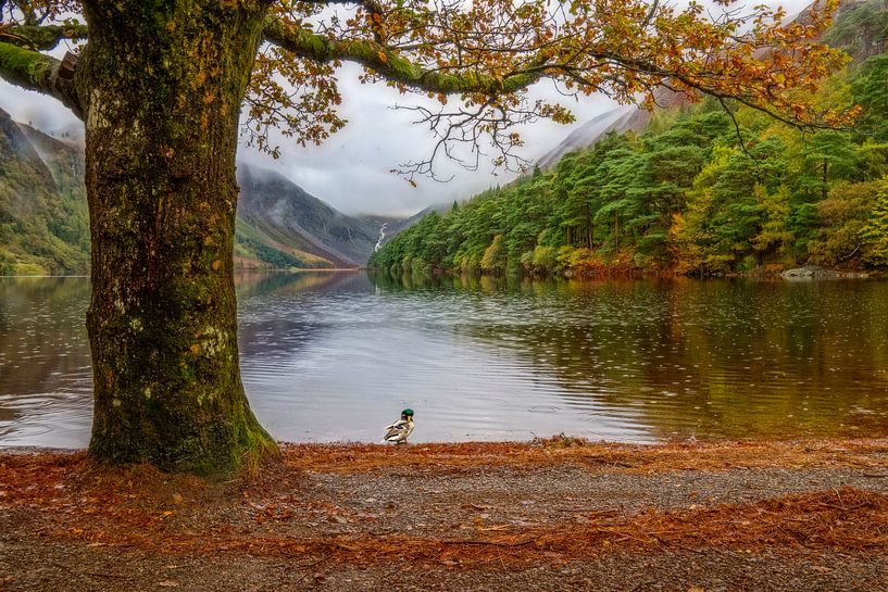 Herfst landschap bij meer van Marcel van Balken