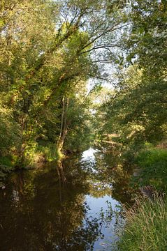 Dinkel rivier van Richard Wareham