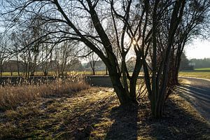 Auf dem Weg durch die schlafende Natur 2