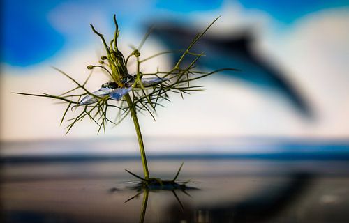 juffertje in het groen fantasie achtergrond