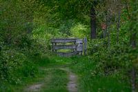 Verstilde natuur