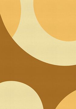 Gouden lussen V van Dina Dankers