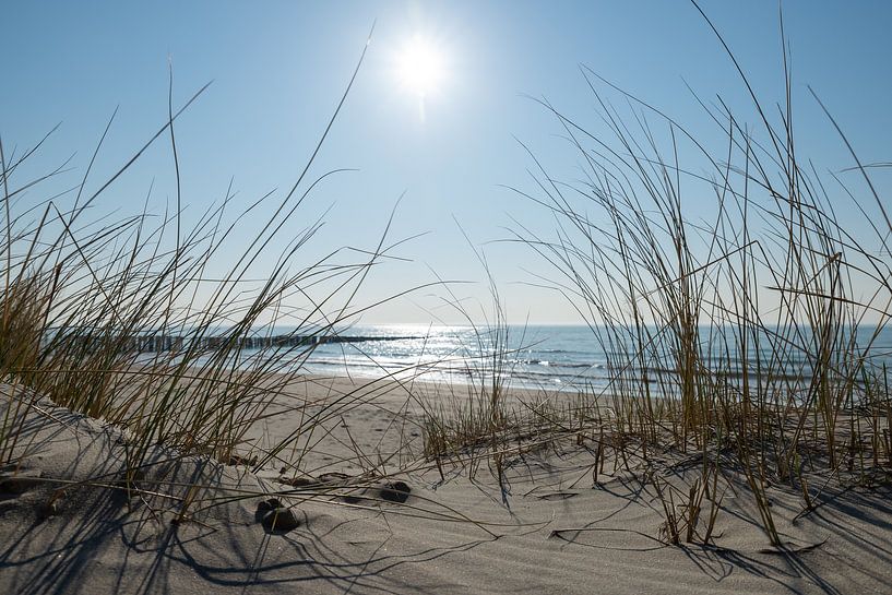 Am Strand von Jaco Verheul