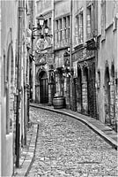 Vieux Lion
