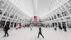 The Oculus