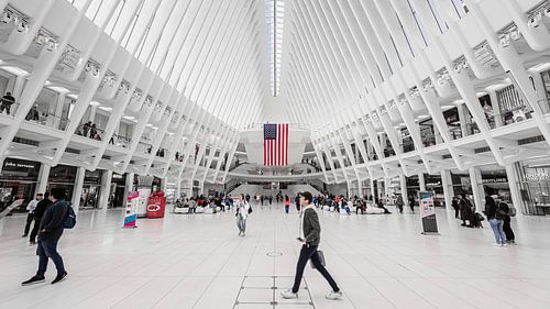 The Oculus