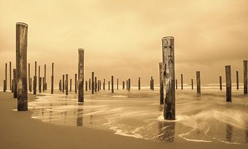 Palendorp Petten. artwork consisting of 160 poles. by Marcel Kieffer