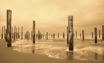 Palendorp Petten 1. kunstwerk bestaande uit 160 palen. van Marcel Kieffer