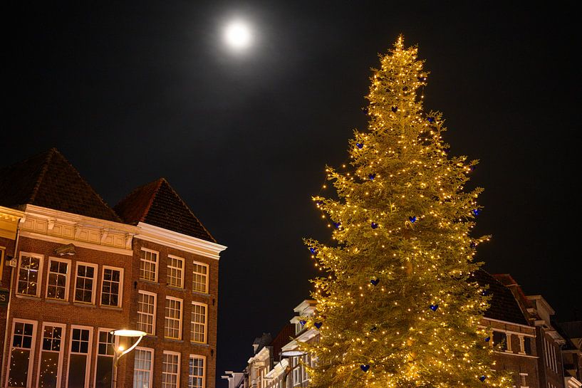 Christmas tree with old Dutch building facades at night by Sjoerd van der Wal Photography