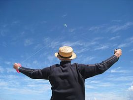 Man met vlieger van Evelyn Waugh