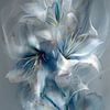 bloem in het blauw van Gelissen Artworks