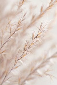 Abstraction from nature