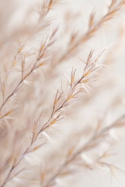 Abstraction from nature by Marjolijn van den Berg