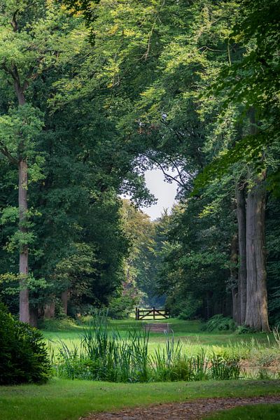 Le domaine néerlandais de Boekesteyn à 's-Graveland par Muriel Dorland