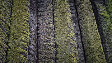 Basaltische prisma's bij Giant's Causeway - Noord-Iers Landschap van Luc de Zeeuw
