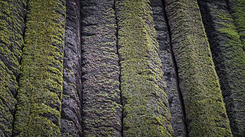 Basaltische prisma's bij Giant's Causeway - Noord-Iers Landschap