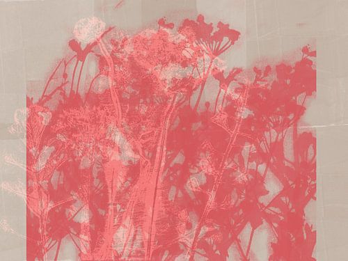 Bloemen in rood op taupe