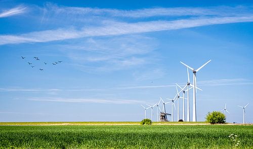 Windmolens van oud naar nieuw, Eemshaven