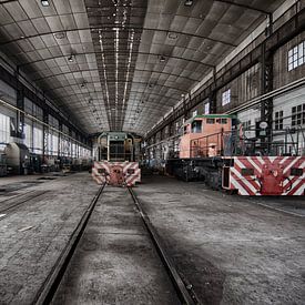 Treinen in een verlaten loods by Rens Bok