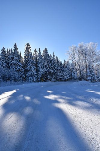 Een landweg in de winter