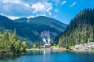 Gosausee