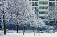 Winterbeeld Lijnbaanhoven van Frans Blok thumbnail