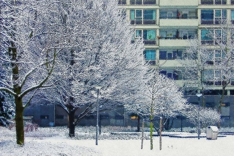 Winterbeeld Lijnbaanhoven van Frans Blok