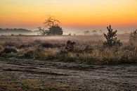 Strabrechtse Heide van Rob Boon thumbnail