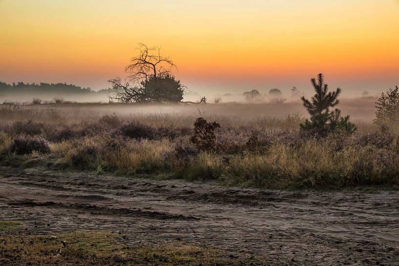 Strabrechtse Heide van Rob Boon