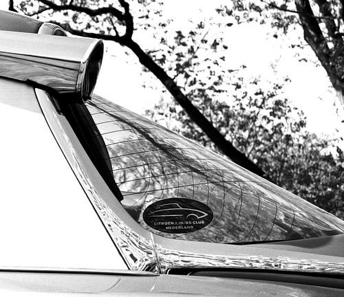 Photo of a detail of a lemon DS.