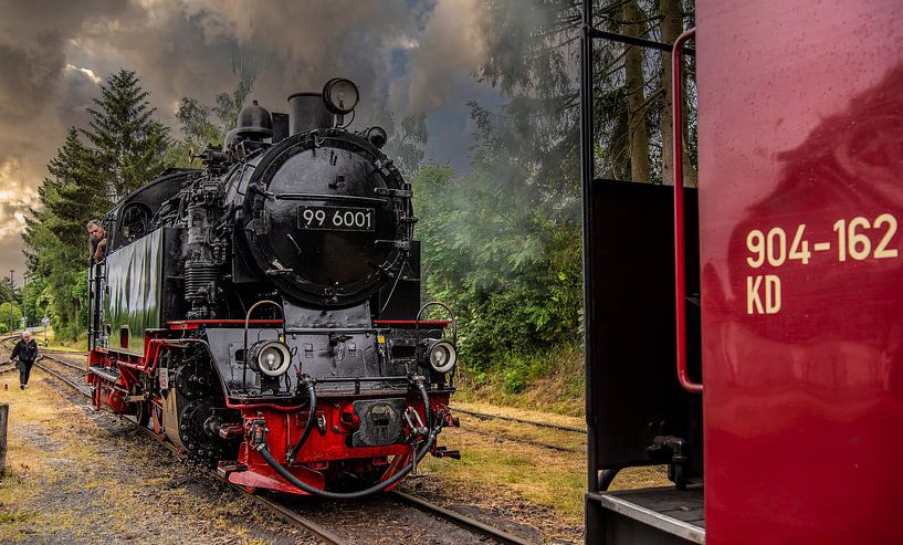 Smalspoorbaan in de Harz van Ria Overbeeke