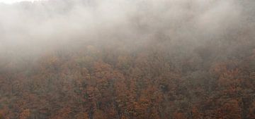 Bomen in de mist van Rachied Soebhan