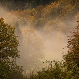 Automne avec brouillard dans les montagnes sur Dieter Ludorf