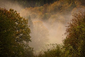 Herfst met mist in de bergen van Dieter Ludorf